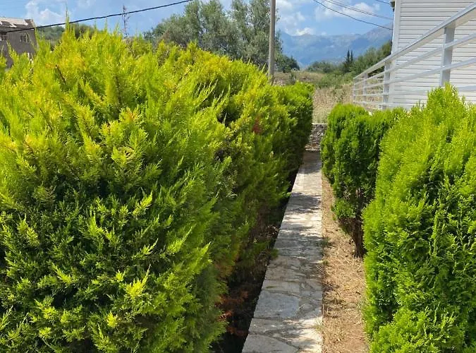 Llaman Luxury * Himarë